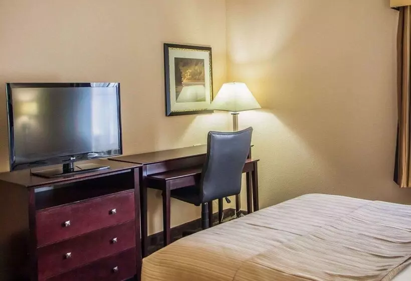 酒店 Quality Inn & Suites