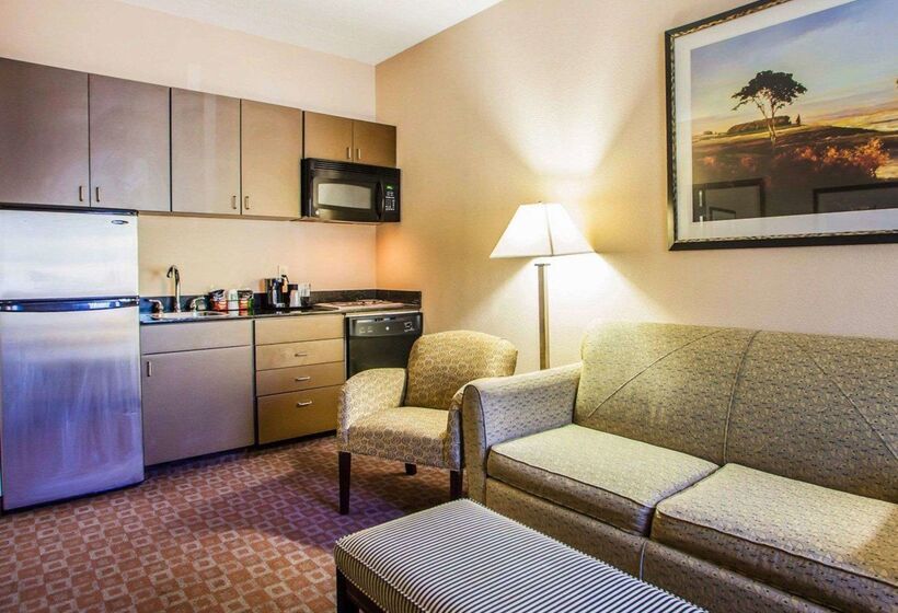 ホテル Quality Inn & Suites