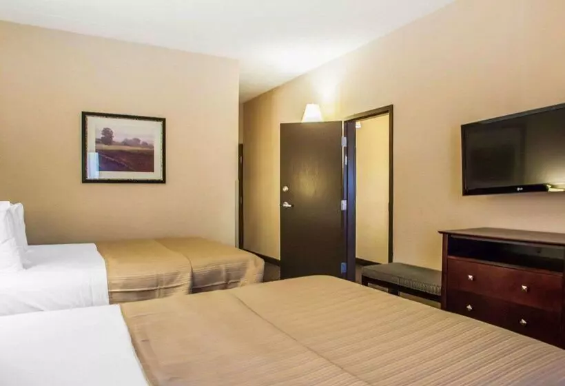 酒店 Quality Inn & Suites