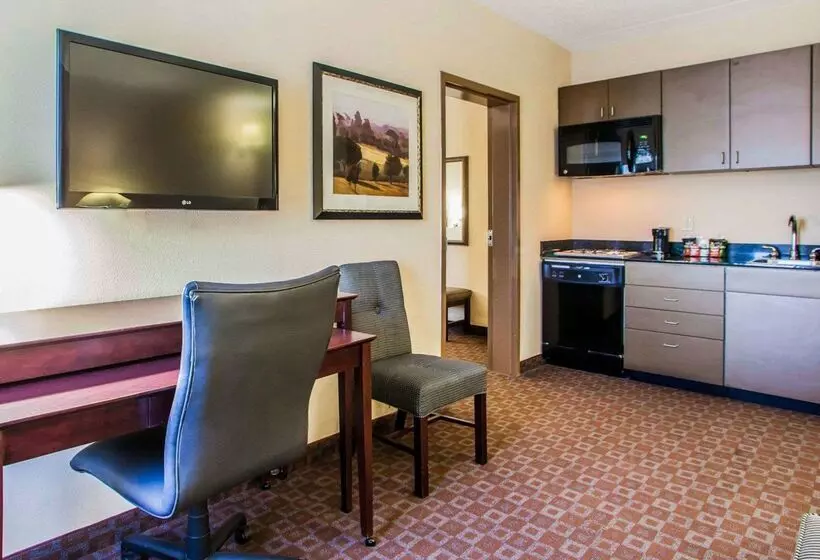 酒店 Quality Inn & Suites