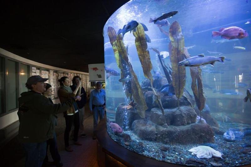 Otel Silverbow Inn & Suites