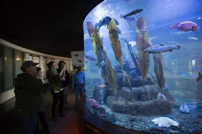 酒店 Silverbow Inn & Suites