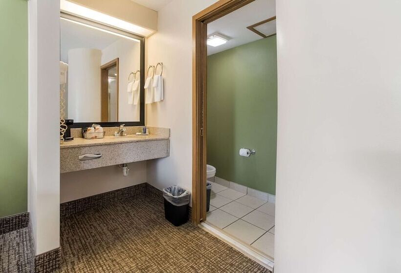 ホテル Sleep Inn Airport