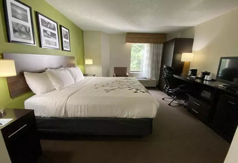 Отель Sleep Inn Atlanta Airport