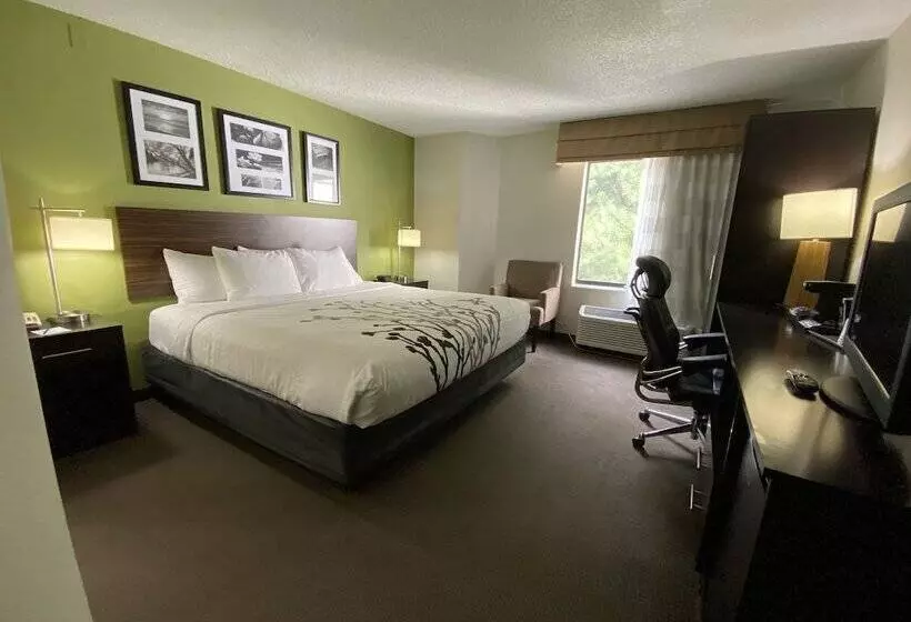 Отель Sleep Inn Atlanta Airport