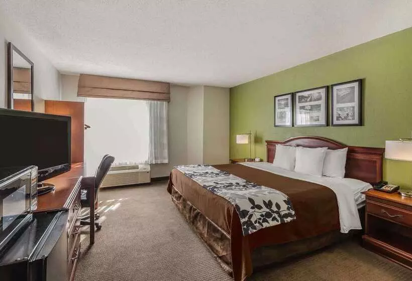 ホテル Sleep Inn Gaffney At I85