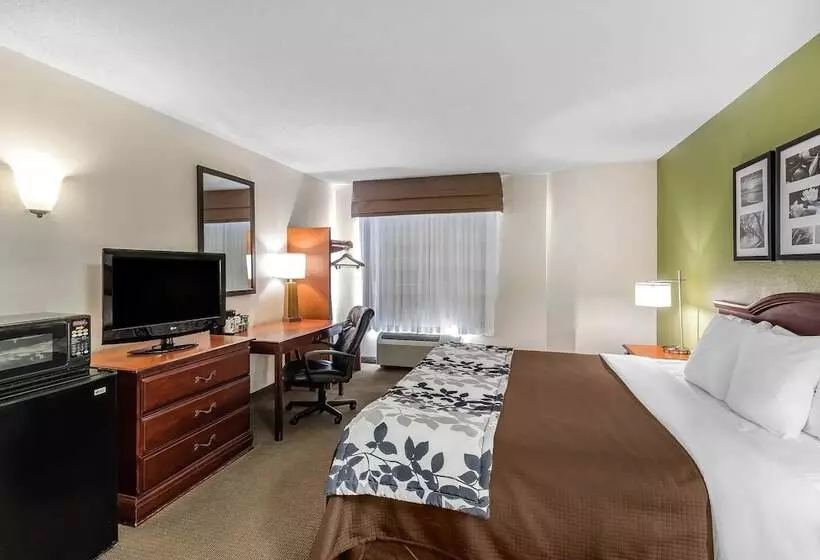 ホテル Sleep Inn Gaffney At I85
