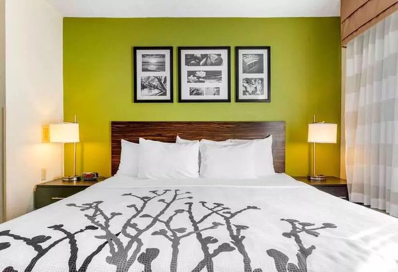 Hotel Sleep Inn I95 North Savannah