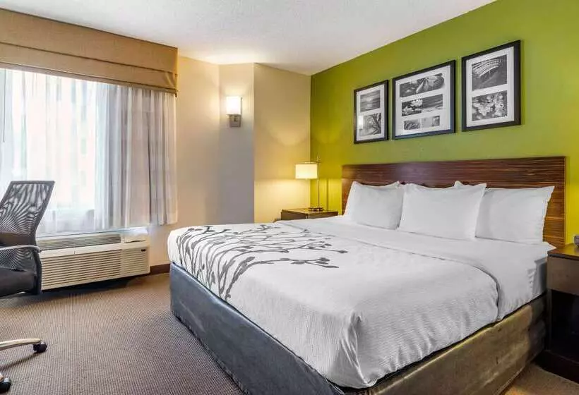 Hotel Sleep Inn I95 North Savannah