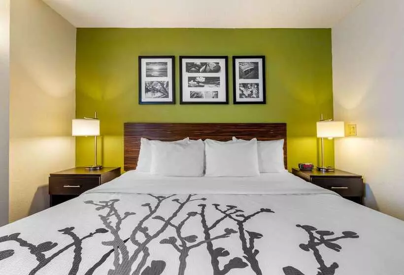 Hotel Sleep Inn I95 North Savannah