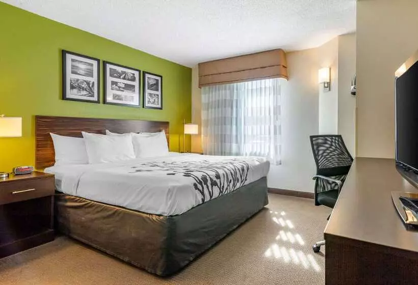 Hotel Sleep Inn I95 North Savannah