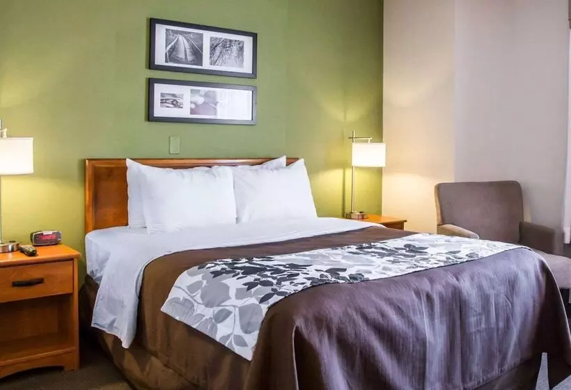 호텔 Sleep Inn Midway Airport