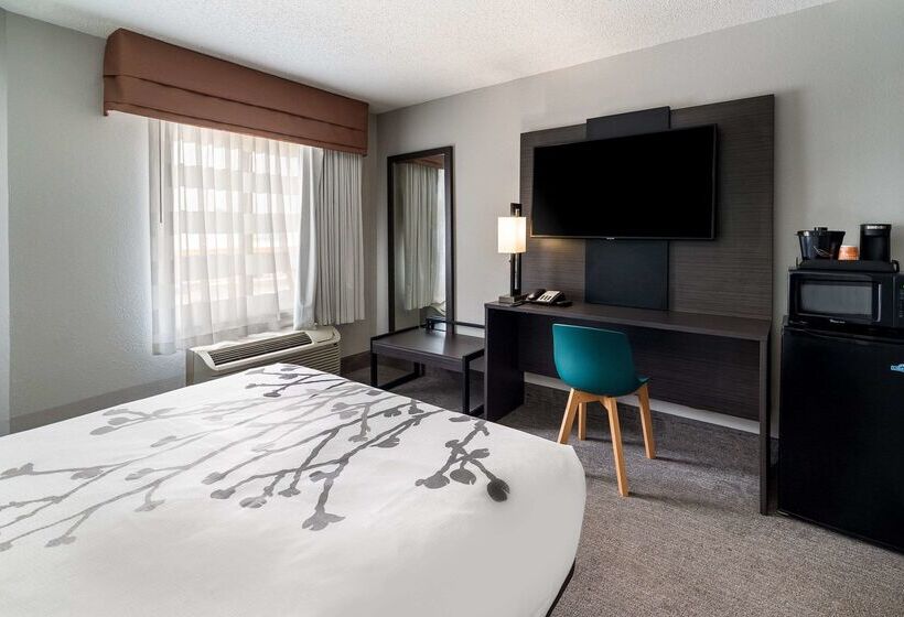 בית מלון כפרי Sleep Inn