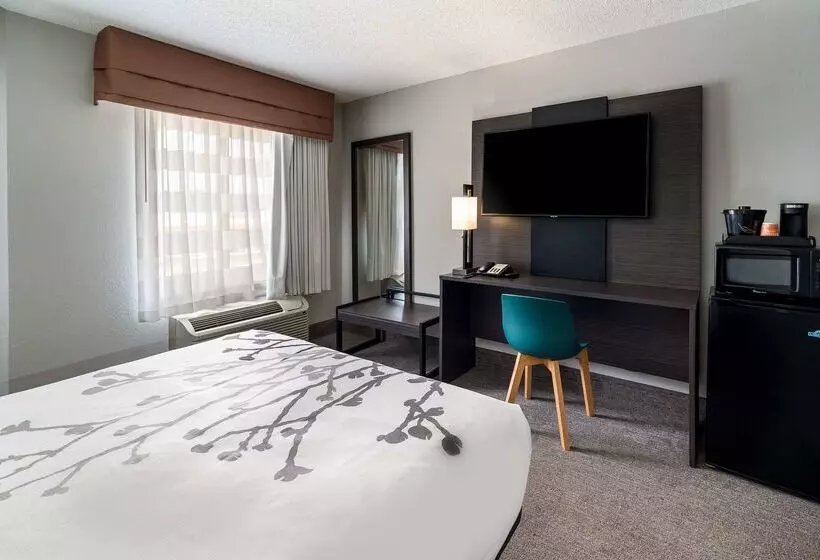 Отель Sleep Inn