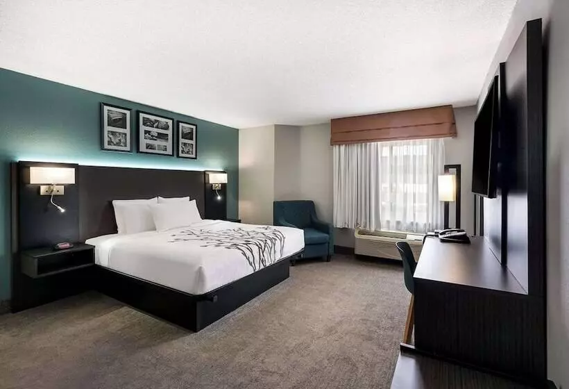 Отель Sleep Inn