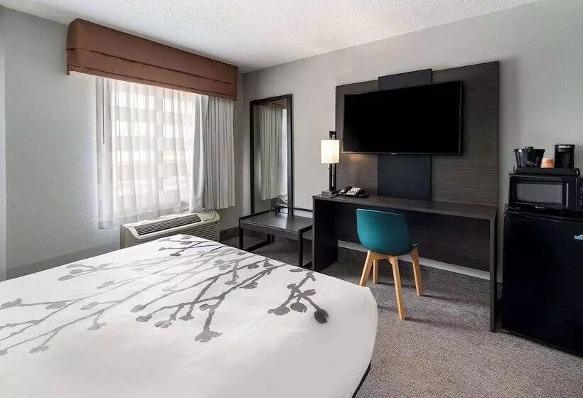 Отель Sleep Inn