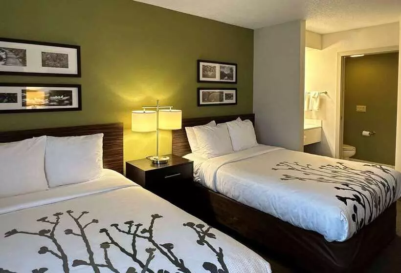 호텔 Sleep Inn