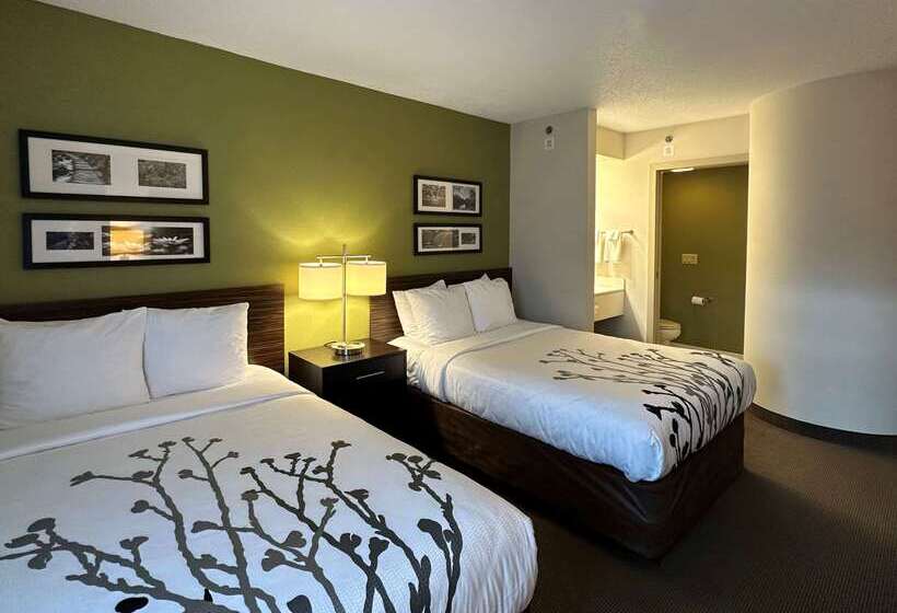 酒店 Sleep Inn