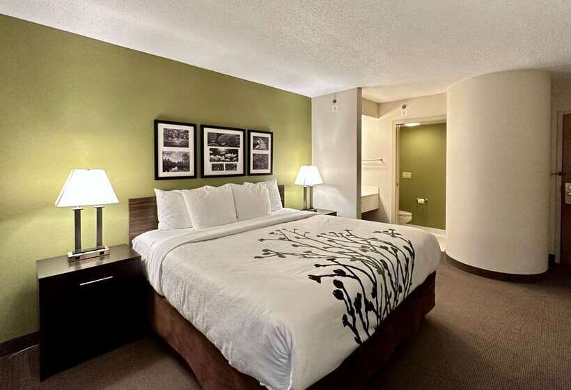 Отель Sleep Inn