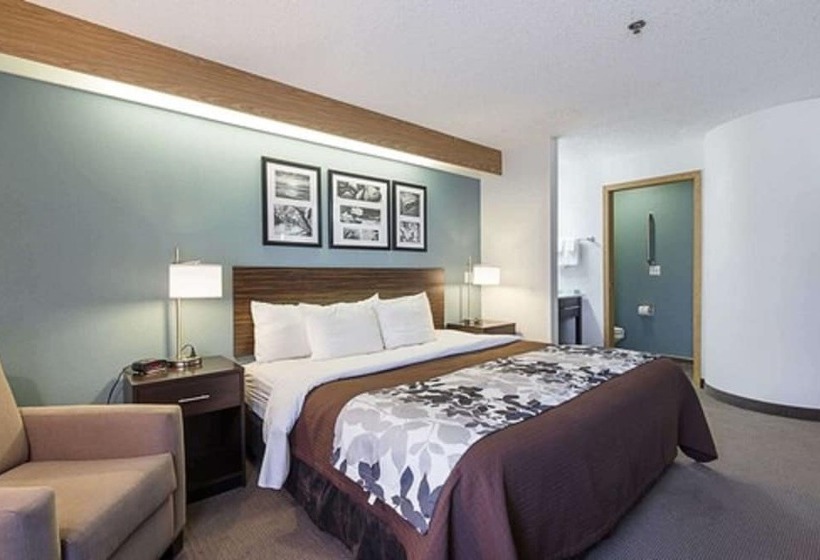 فندق La Vista Inn