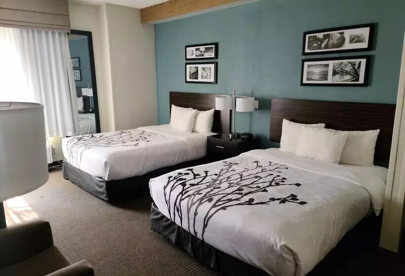 בית מלון כפרי La Vista Inn