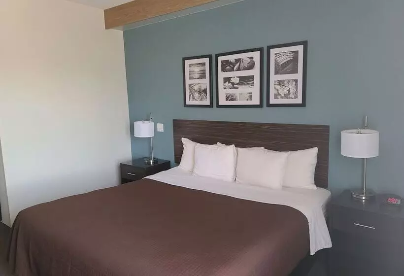 בית מלון כפרי La Vista Inn