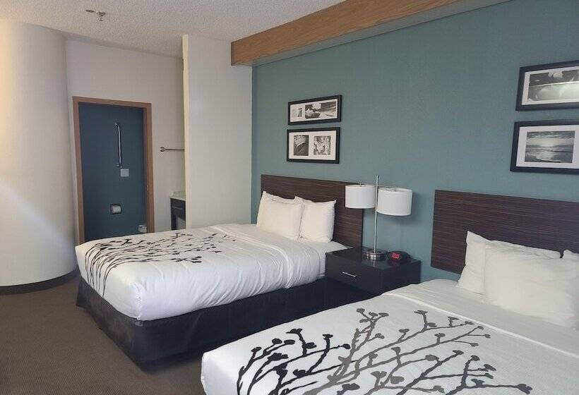 فندق La Vista Inn