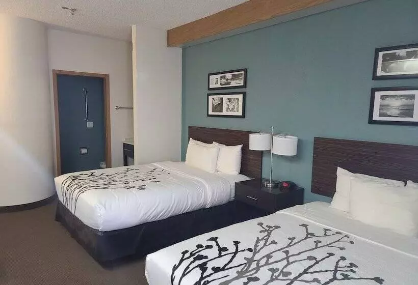 בית מלון כפרי La Vista Inn