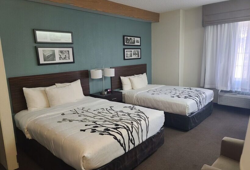 فندق La Vista Inn