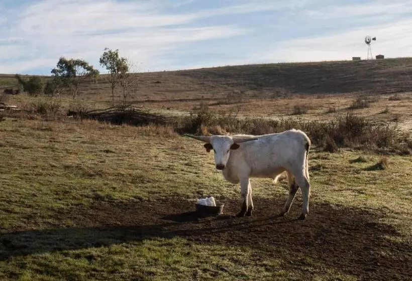 ホテル Sonoma Coast Villa