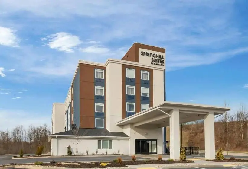 ホテル SpringHill Suites by Marriott Pittsburgh Airport
