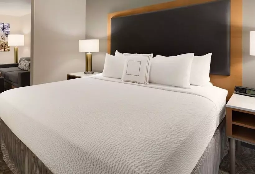 호텔 Springhill Suites Phoenix North