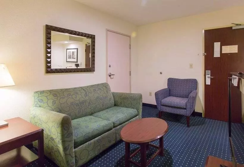 酒店 Studios And Suites 4 Less Gum Road