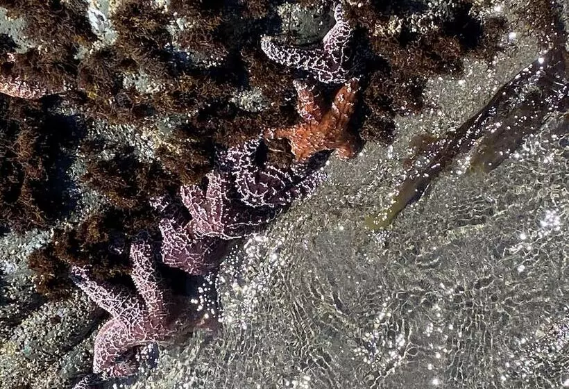 Мотель Americoast Inn