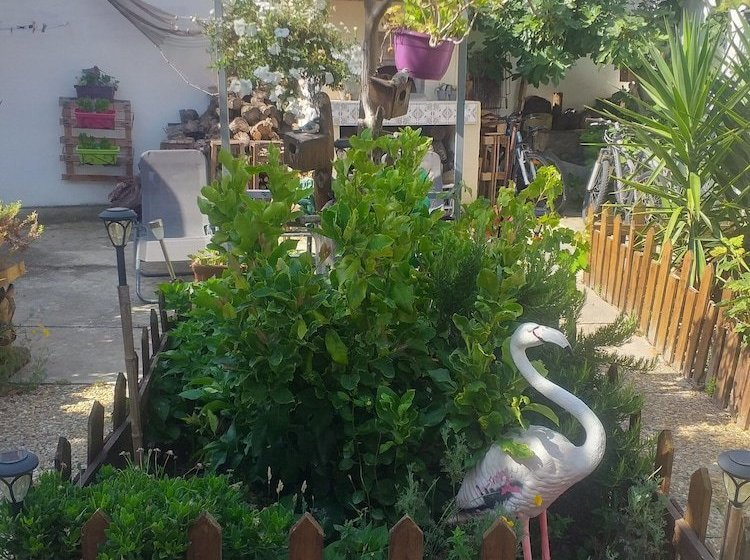 膳宿费 Chambres D Hotes Chez Cathy Et Leo