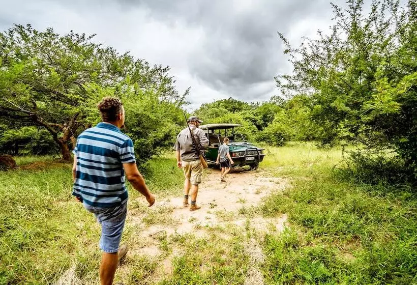 ホテル Africamps At Hoedspruit