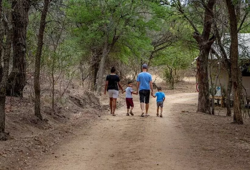 ホテル Africamps At Hoedspruit