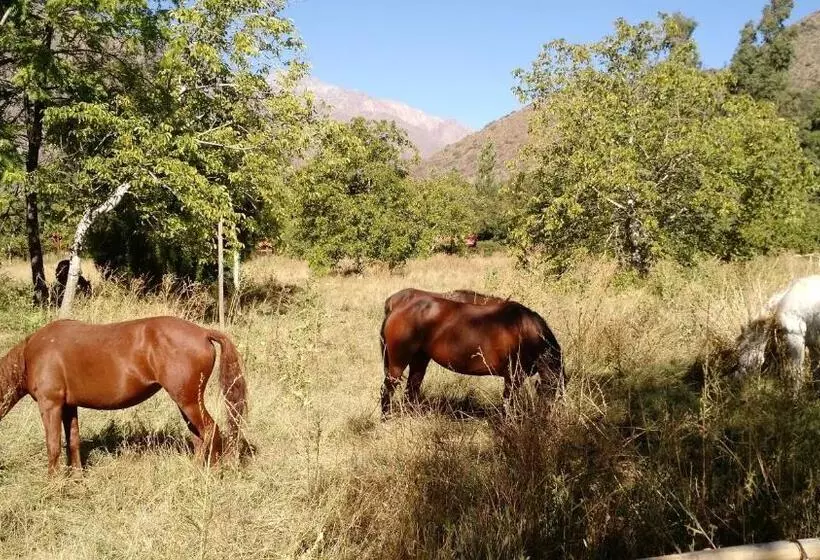 Hotelli Cascada Lodge Cajon Del Maipo