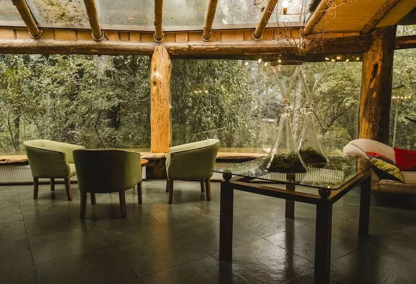 Hotelli Huilo Huilo Montaña Magica