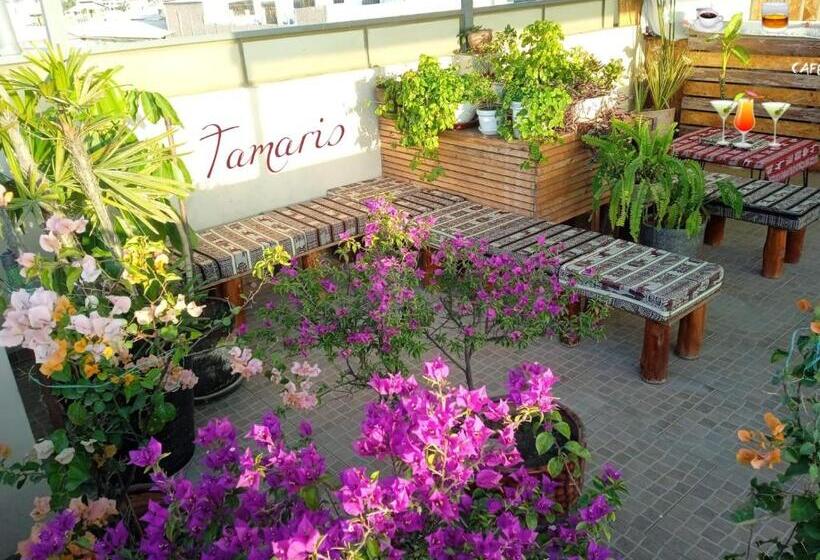 هتل Tamaris