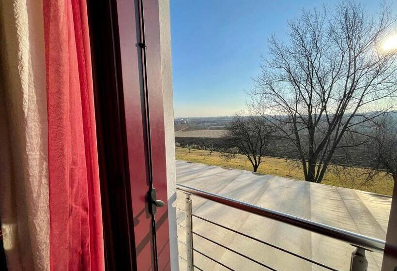 بنسيون Agriturismo Vecio Portico