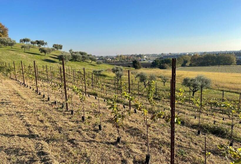 بنسيون Agriturismo Vecio Portico