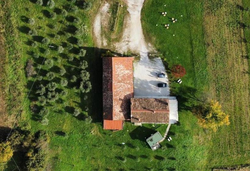 بنسيون Agriturismo Vecio Portico