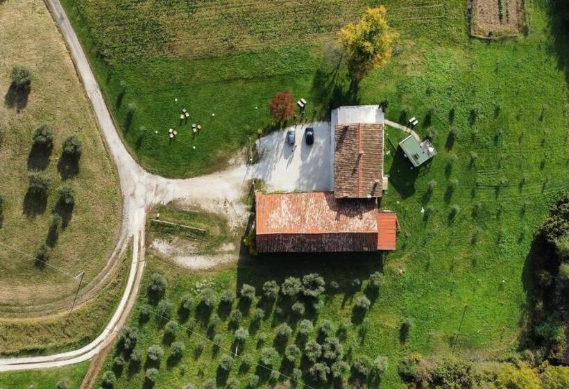 بنسيون Agriturismo Vecio Portico