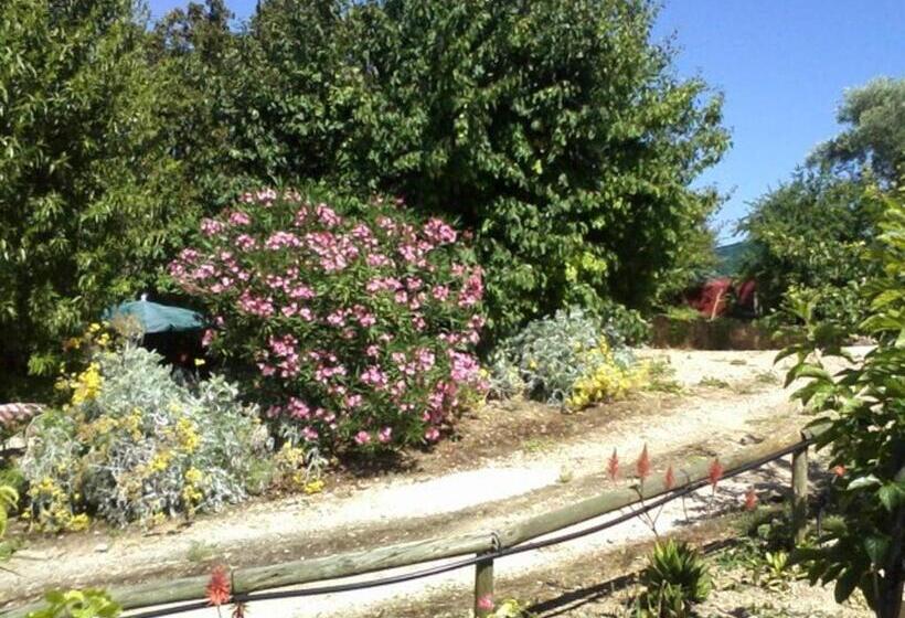 펜션 Casa Do Forno Quinta Amoreira