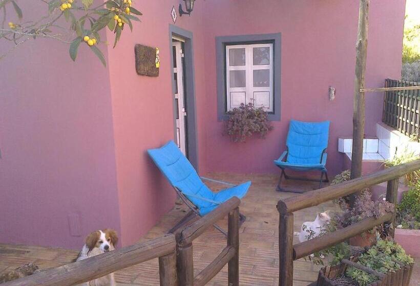 펜션 Casa Do Forno Quinta Amoreira