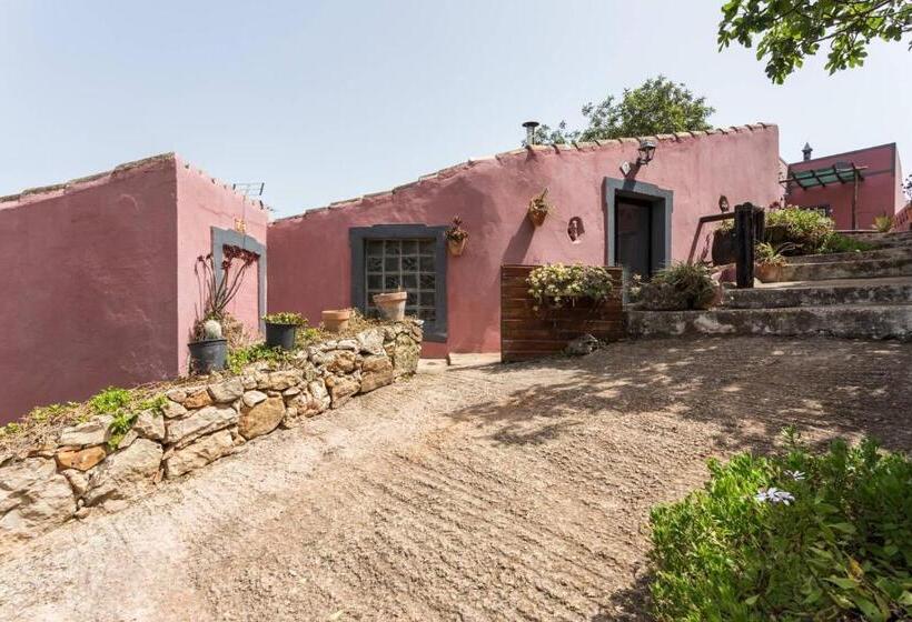 펜션 Casa Do Forno Quinta Amoreira