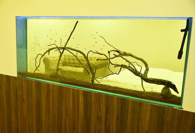 בית מלון כפרי Fundera Aqua Stay