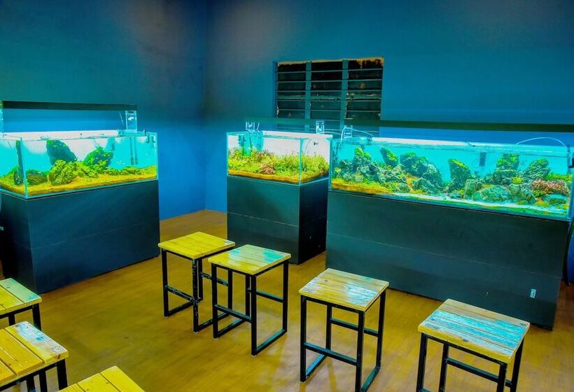 בית מלון כפרי Fundera Aqua Stay