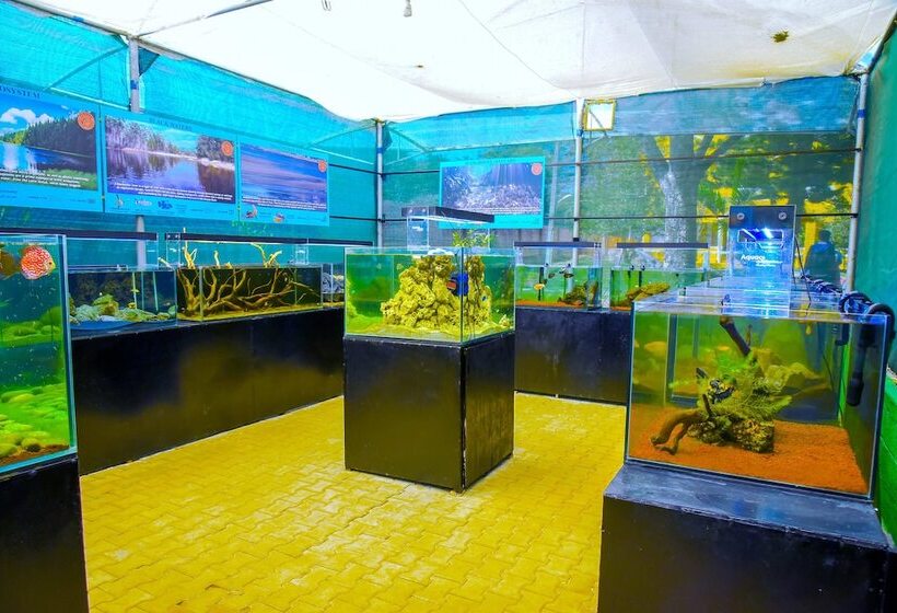 בית מלון כפרי Fundera Aqua Stay